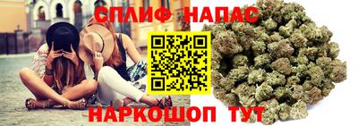 прущие грибы Нарткала