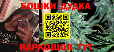 сатива Нальчик