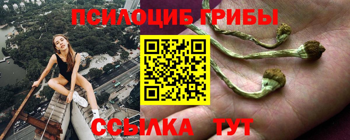 Псилоцибиновые грибы Magic Shrooms  Галлюциногенные грибы Magic Shrooms  Вход с VPN  Тула 