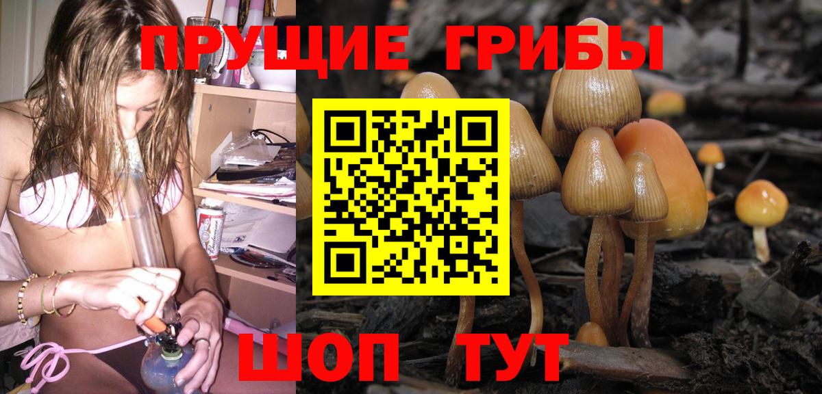 Псилоцибиновые грибы мухоморы Тула